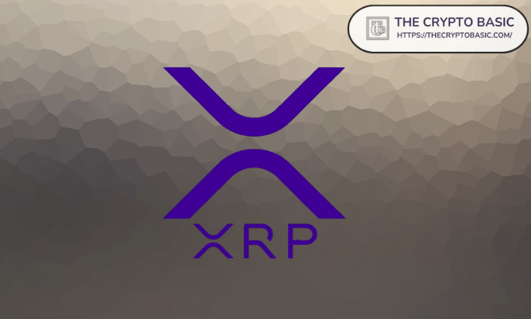 Pundit Explores How 1,000 XRP Can Provide Significant Financial Returns