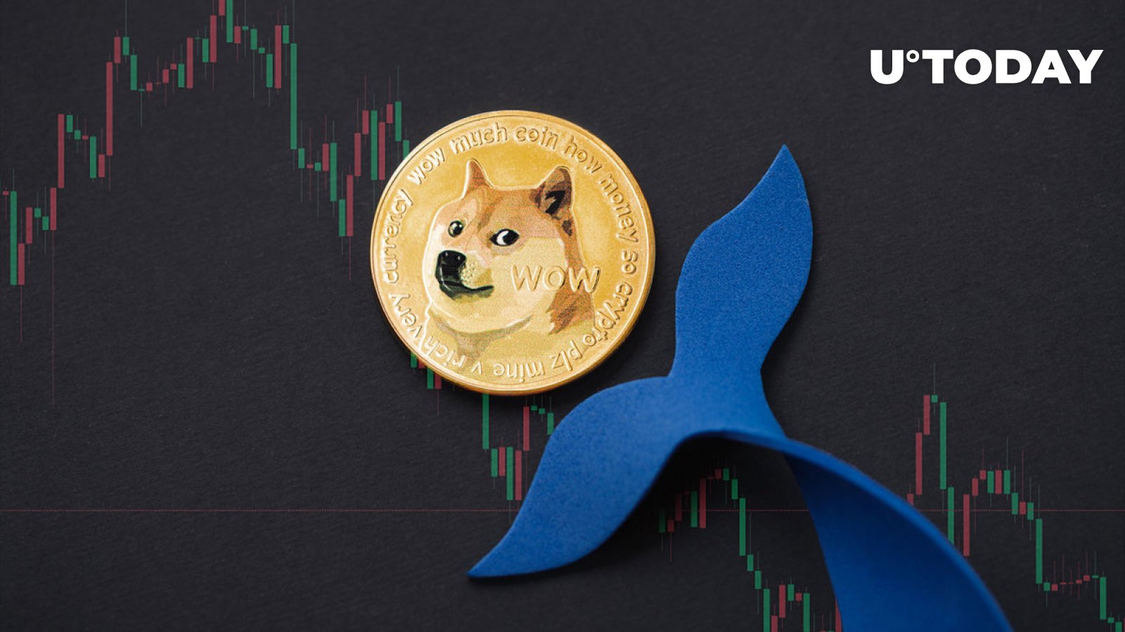 Dogecoin Whales Disappear After DOGE Meme Dog Kabosu`s Passing