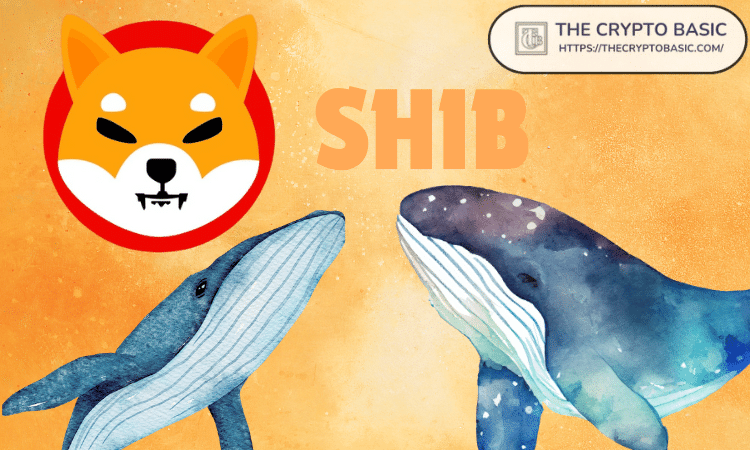 A new whale wallet accumulates over 583.7 billion Shiba Inu tokens from crypto exchange Binance amid SHIB’s recent collapse to… The post As Shiba Inu Falls to $0.000015, New Wallet Accumulates 583,777,512,556 SHIB from Binance first appeared on The Crypto Basic .