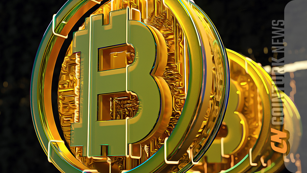 Institutional Investors Buy Bitcoin Dip