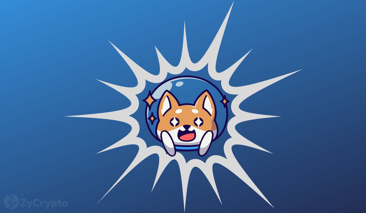 Shiba Inu Exchange Exodus — $0.001 SHIB Price Crazily In The Pipeline as Whales Scoop Up Billions