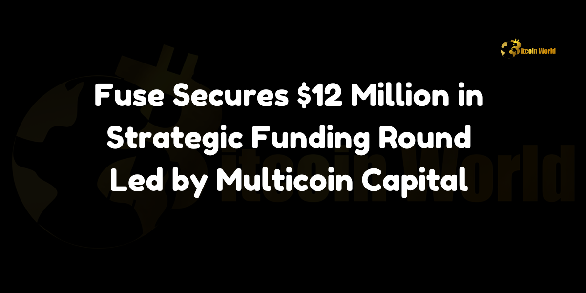 Fuse Secures $12 Million in Strategic Funding Round Led by Multicoin Capital