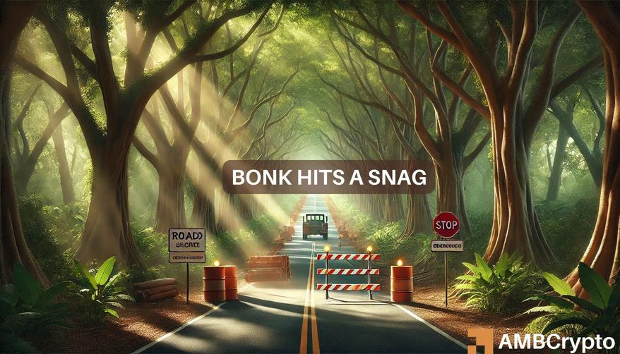 What`s next for BONK after hitting a roadblock at $0.000018?