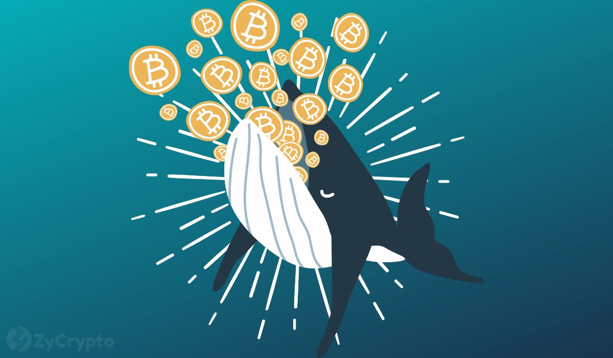 Bitcoin Whales Scoop Up Over $7 Billion In BTC In Under A Month