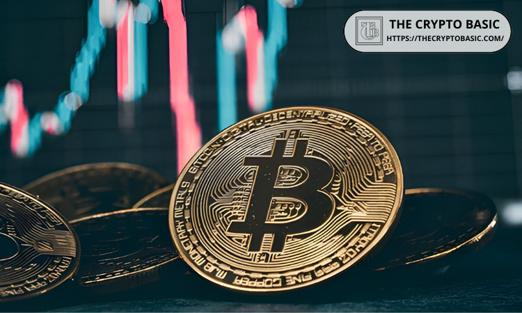 Bitcoin recent price action shows growing optimism, with institutional and whale activity showing strong signs of support. The premier crypto… The post Bitcoin Retains Institutional Whale Interest as Prices Push to Reclaim $63K first appeared on The Crypto Basic .