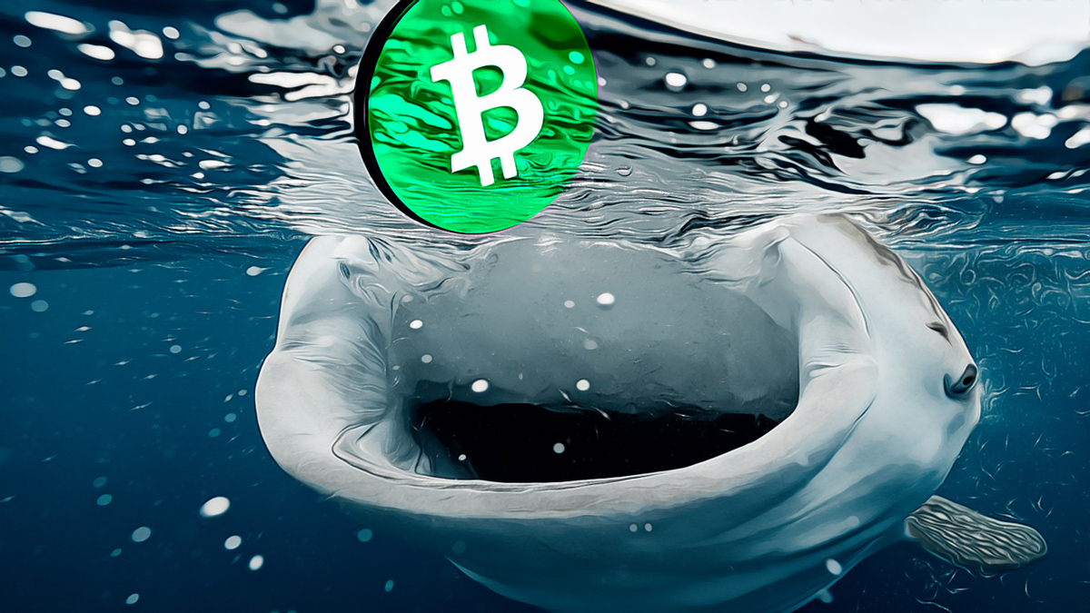 Coutts sees a potential end to the bear market for Bitcoin and cryptocurrencies. Increased liquidity and strong fundamentals may indicate a bullish trend ahead. Continue Reading: Jamie Coutts Forecasts a Bright Horizon for Bitcoin and Crypto Assets The post Jamie Coutts Forecasts a Bright Horizon for Bitcoin and Crypto Assets appeared first on COINTURK NEWS .