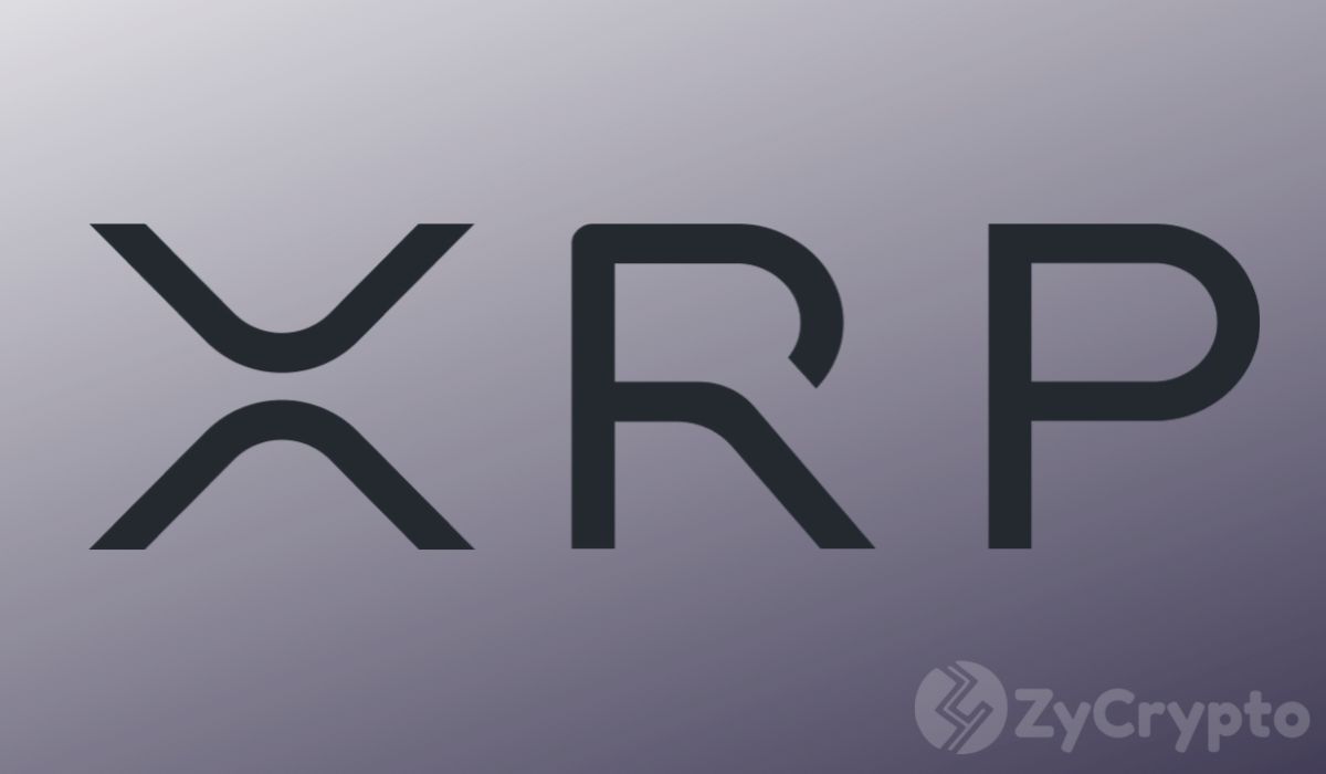 Ripple’s Chief Technology Officer David Schwartz has affirmed holding XRP, asserting that he would push its price higher if it were possible.