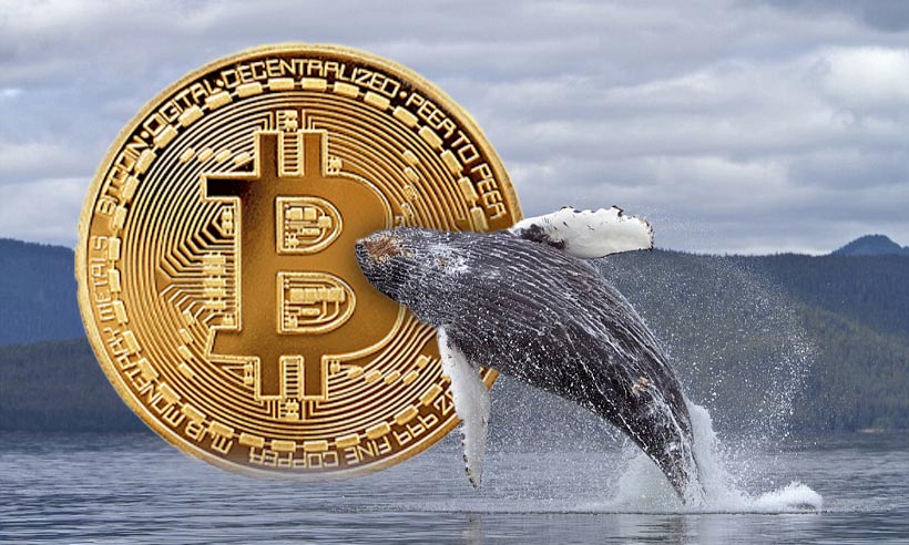 Whale Activity Signals Potential Bitcoin Price Shift