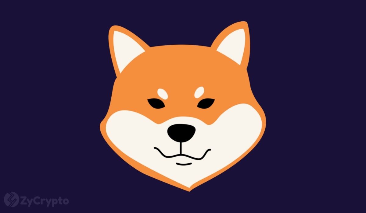 “LUCIE,” the lead marketing strategist for the Shiba Inu ecosystem, has ignited curiosity within the SHIB community with a cryptic but optimistic forecast.