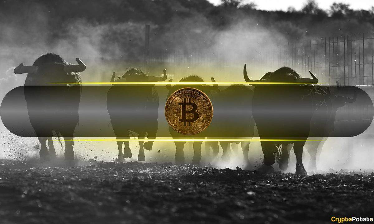 Bitcoin demand needs to grow for the asset to remain steady in the bull phase and rally to its price targets of $85,000 and $100,000.