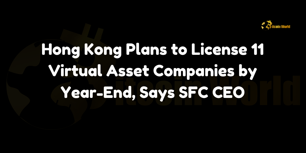 Hong Kong Plans to License 11 Virtual Asset Companies by Year-End, Says SFC CEO