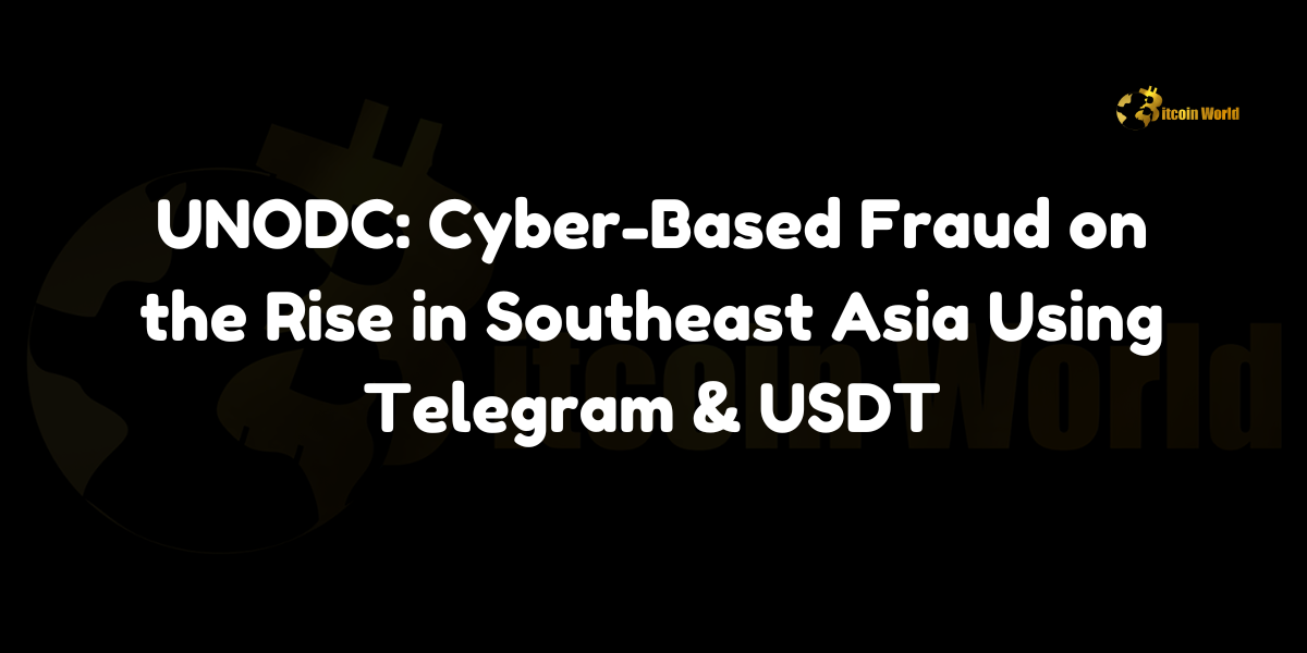 UNODC: cyber-based fraud Southeast Asia