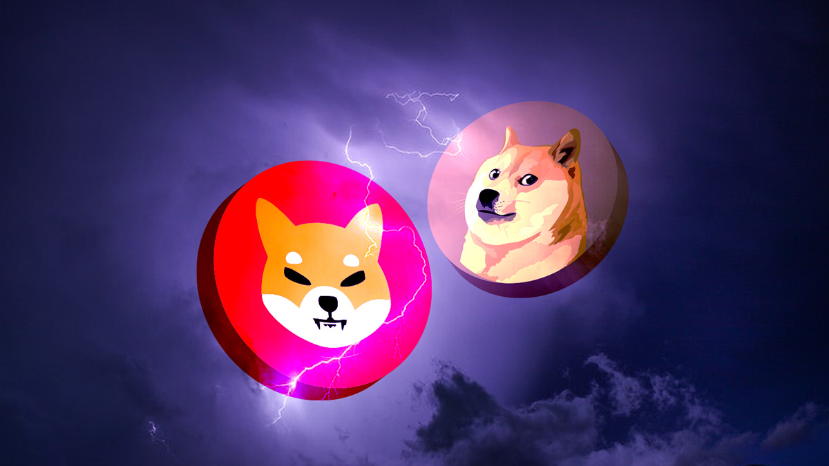 Shiba Inu Price Rises Due to Increased Burning Rate