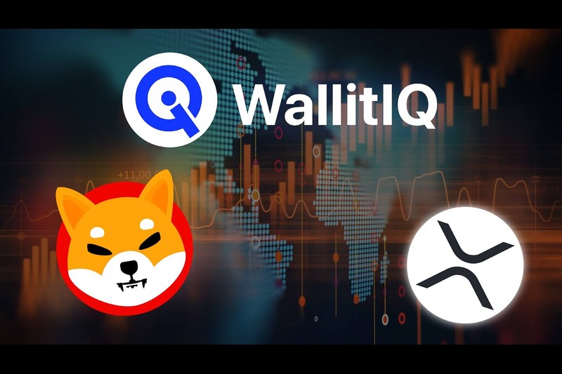 The cryptocurrency market continues to capture the attention of investors looking for explosive returns. Shiba Inu (SHIB) and Ripple (XRP) have both been at the forefront of recent discussions due to their significant price actions and future potential. However, WallitIQ (WLTQ), a rising AI-driven token, is gaining momentum and could present a more promising investment