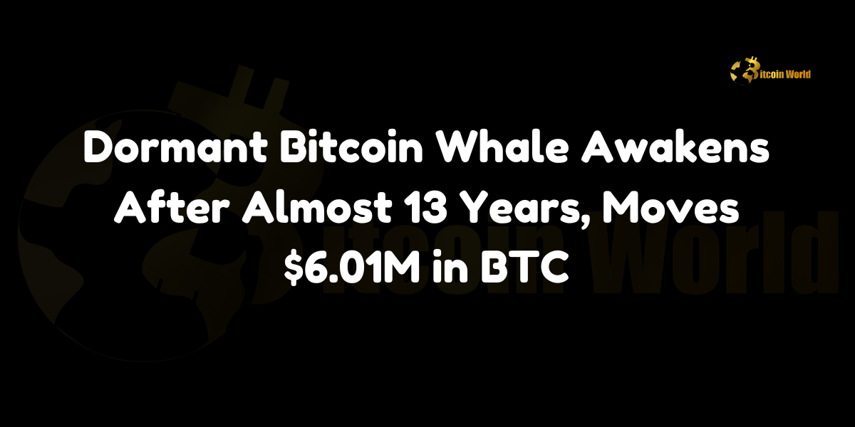 Dormant Bitcoin whale moves BTC