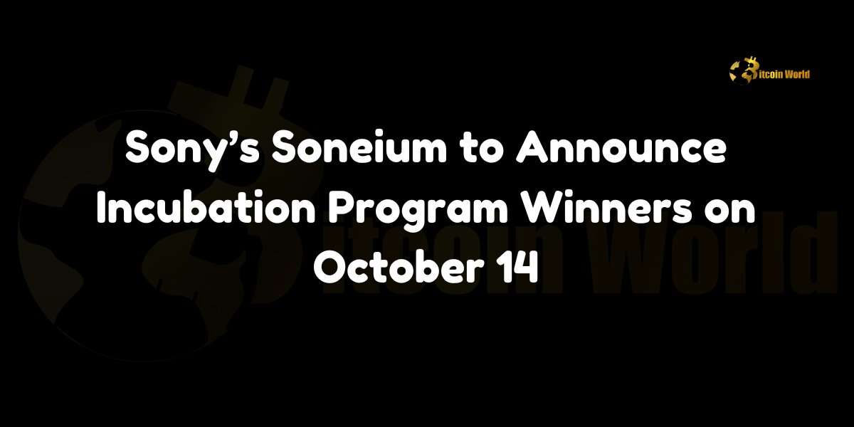 Sony Soneium incubation program winners