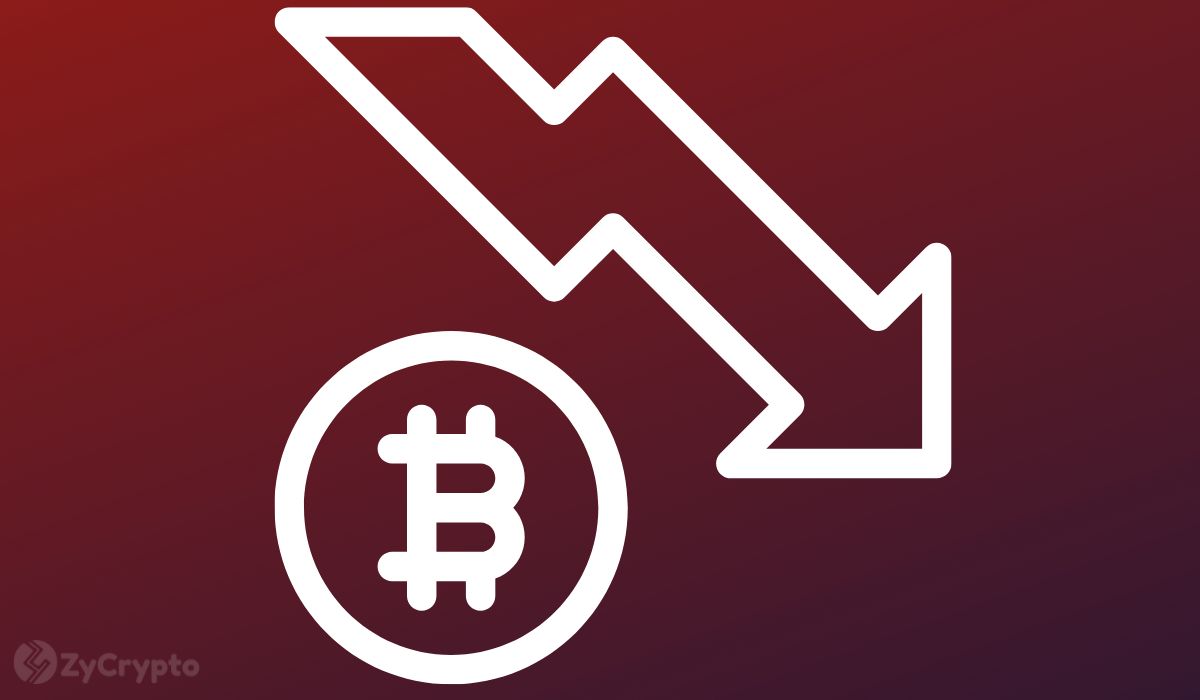 Strap In! Serious 75% Bitcoin Crash Warning Issued By Veteran Analyst Peter Brandt