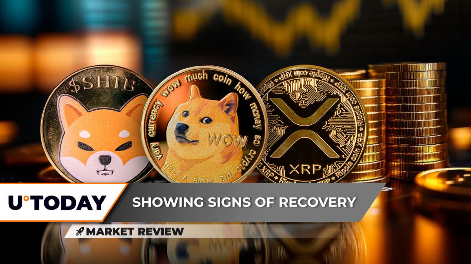 Market slowly entering recovery phase