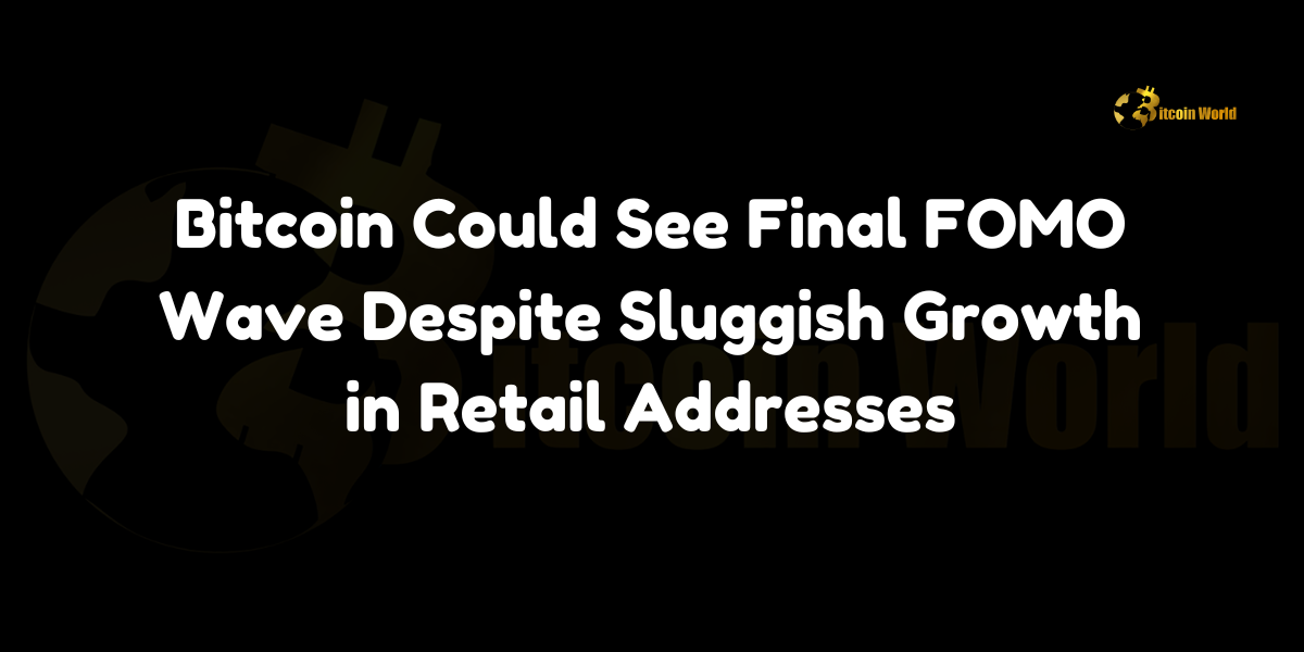 Bitcoin Could See Final FOMO Wave Despite Sluggish Growth in Retail Addresses Despite observing sluggish growth in retail Bitcoin addresses, experts believe that Bitcoin could still experience its final Fear of Missing Out (FOMO) wave in the current market cycle. BinhDang, a contributor at CryptoQuant, highlighted in a recent analysis that the expansion of smaller