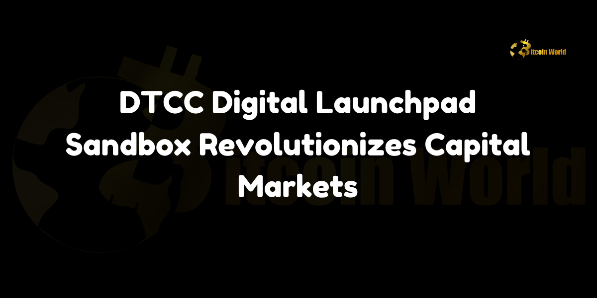 DTCC Digital Launchpad Sandbox Revolutionizes Capital Markets