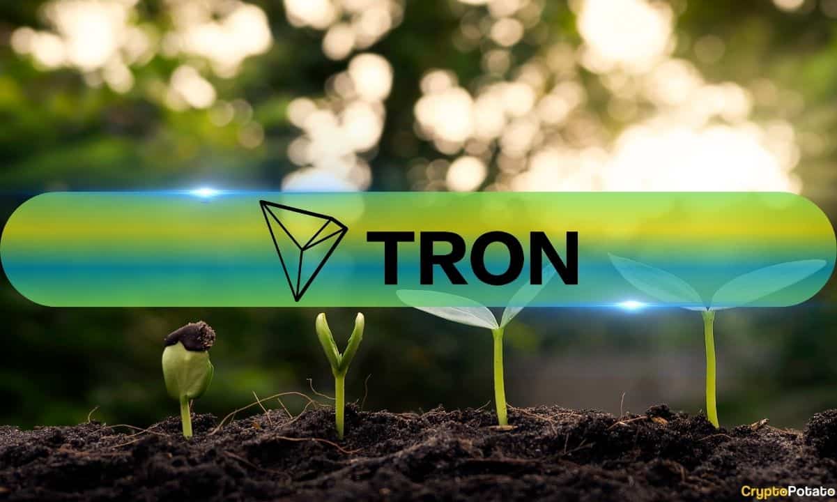 Tron’s Q3 2024 Revenue Grows by 6% in TRX Amidst Meme Coin Boom