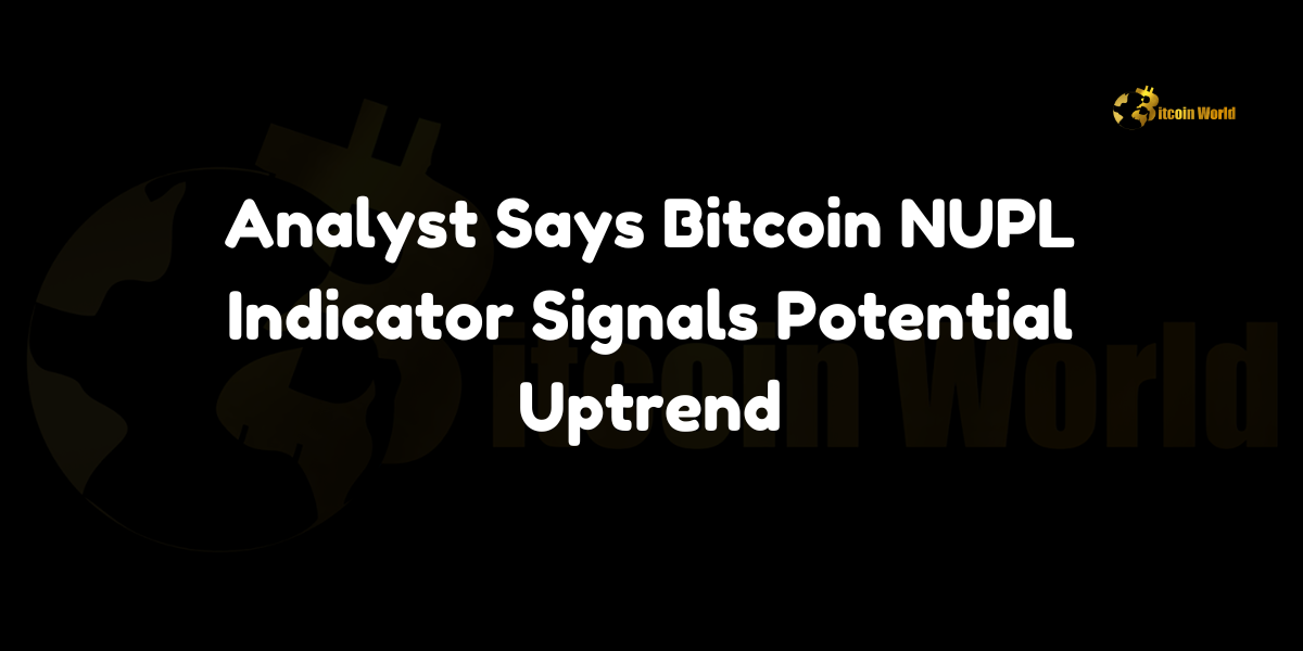 Bitcoin NUPL Indicator Signals Potential Uptrend