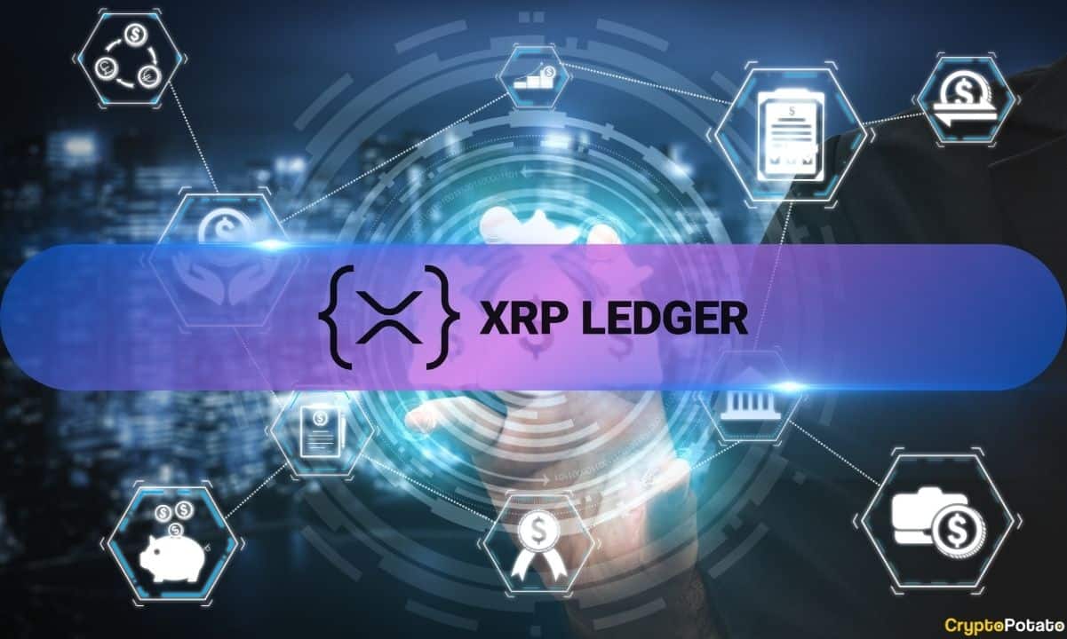 XRPL has been doing well in new wallet creation and DEX volume; however, the network’s NFT ecosystem is seeing less activity.