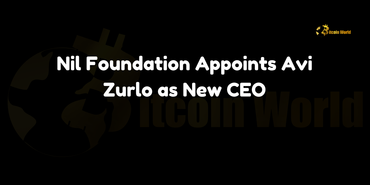 Nil Foundation Appoints Avi Zurlo as New CEO