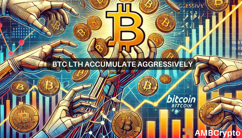 As Bitcoin approaches ATH, long-term holders pile up – Good news for BTC?