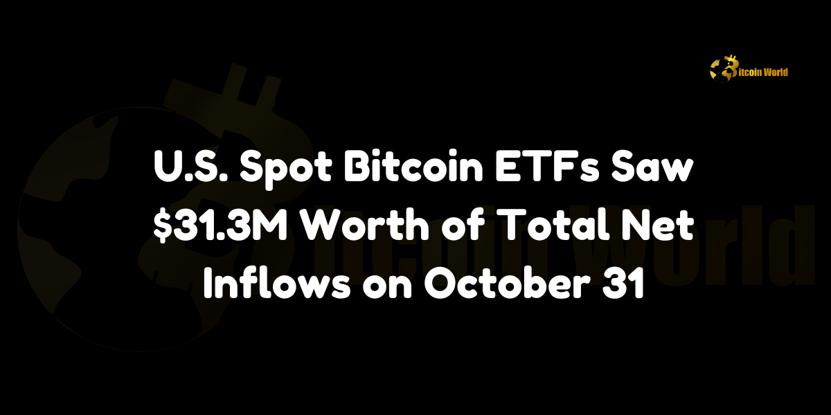 US Spot Bitcoin ETFs Saw $31.3M Worth of Total Net Inflows on October 31