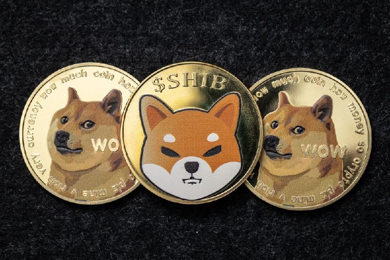 DOGE or SHIB? We asked ChatGPT-4o which is a better buy for 2025