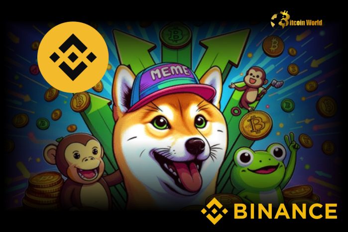 80% of Memecoins Listed on Binance in 2024 Show Major Market Cap Gains