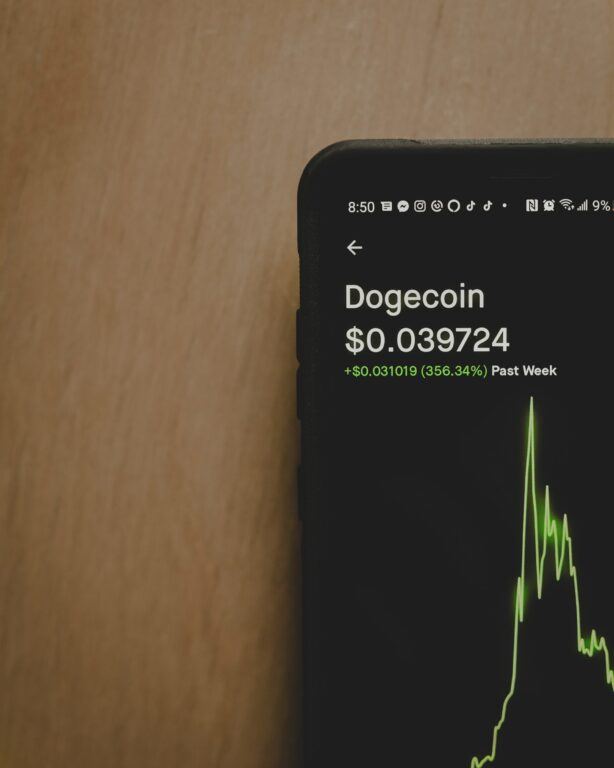 $DOGE Sees Nearly 75,000 New Wallets in One Week, Fueling 140% Price Surge