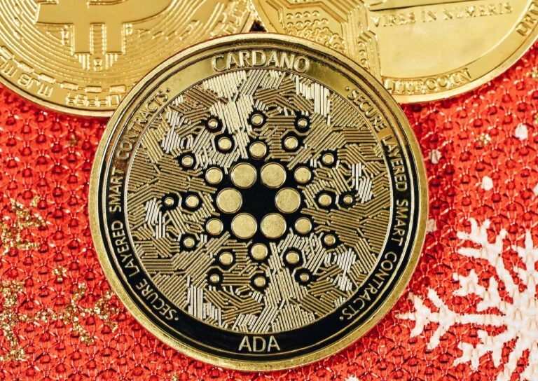 The nonprofit foundation supporting the Cardano ecosystem, the Cardano Foundation, has revealed in a recent report that as of Dec.31, 2023, it held $478.24 million in assets, with 82.5% of those being held in ADA, 10.1% in BTC, and the rest in cash and cash equivalents. According to the report, the foundation allocated $19.22 million