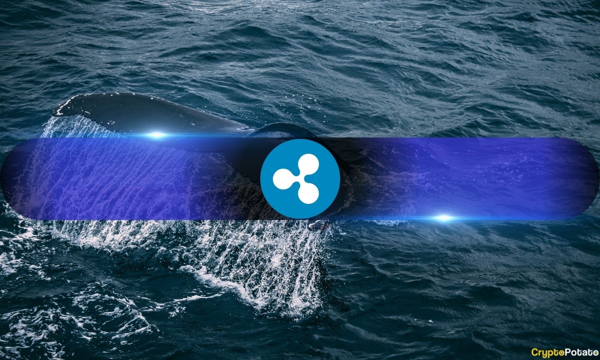 What’s Going On? Ripple Whales Holding Over 1M XRP at 6-Year High