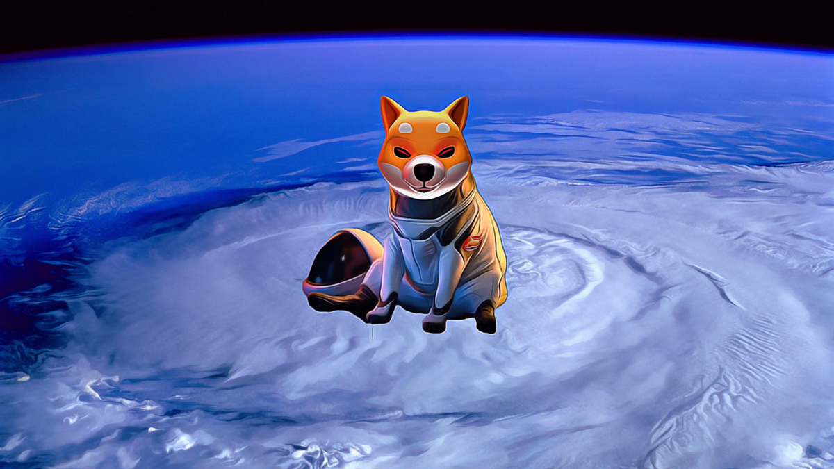 Shiba Inu Investors Anticipate Growth Following Significant Token Burn Increase