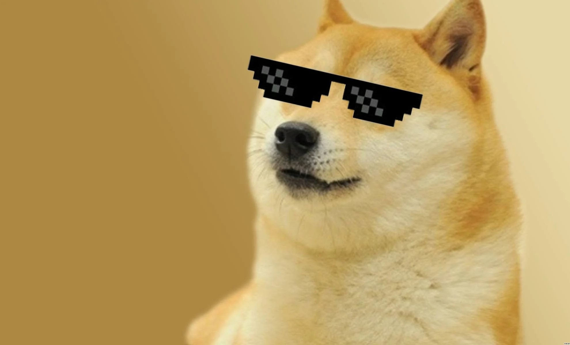 Dogecoin ATH Incoming? Analyst Issues 2-Day Price Forecast