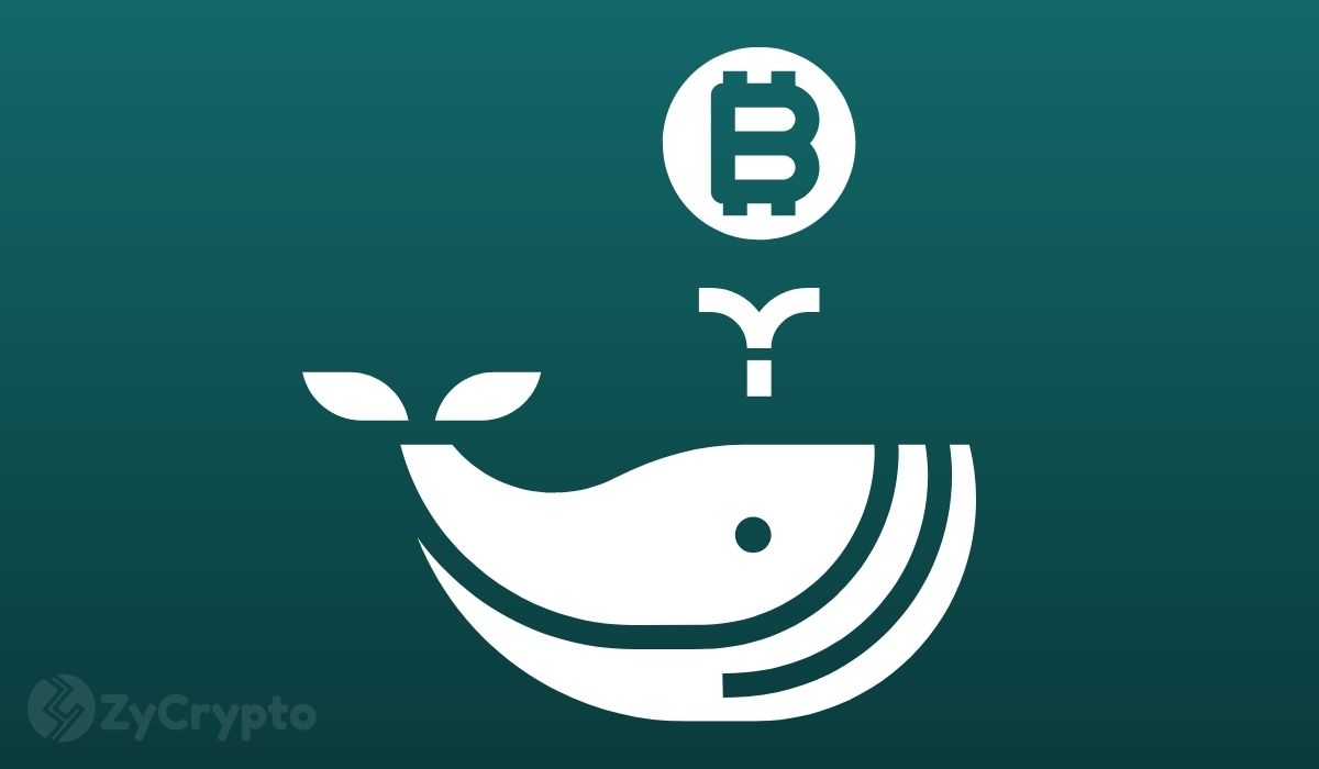 Bitcoin Whales Snap Up Over 40,000 BTC as Asset Flirts with $100,000