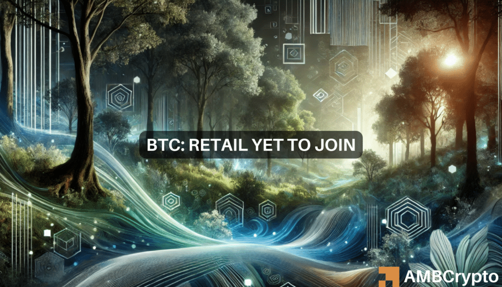 Bitcoin: How retail participation is keeping BTC away from $100K