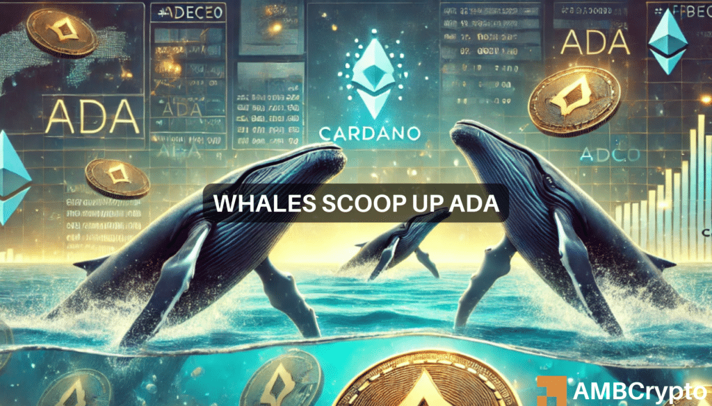 Cardano whales acquire 130M ADA—Is a $1.00 breakout imminent?