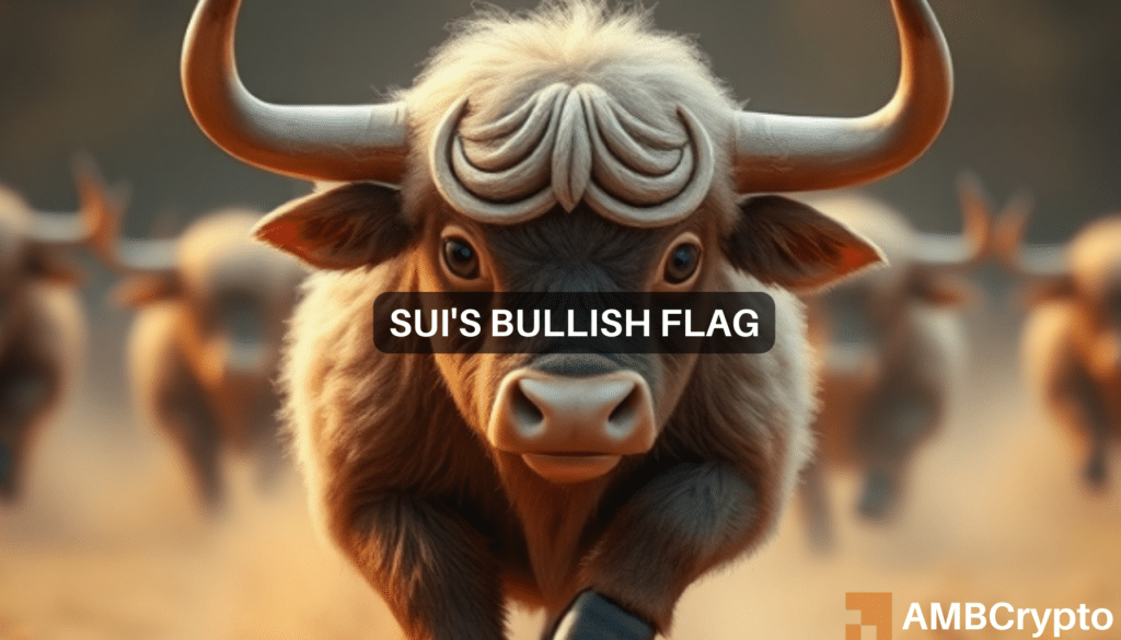 Analyzing SUI’s market position: Bullish sentiment fuels 60% rally hopes