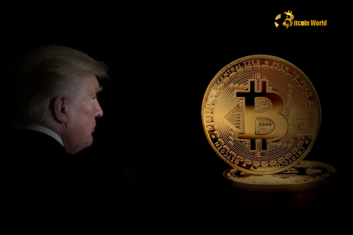 Trump Administration Expected to Ease Crypto Regulations, Paving the Way for Crypto IPOs