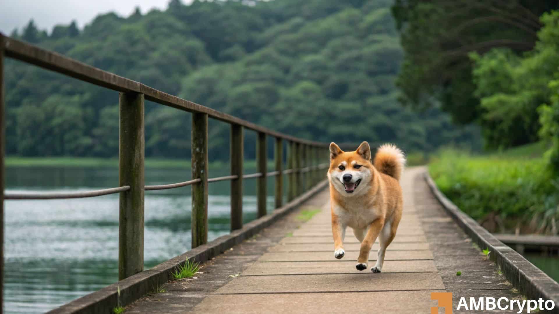 Shiba Inu – Can the Chainlink partnership help SHIB after its 35% fall?