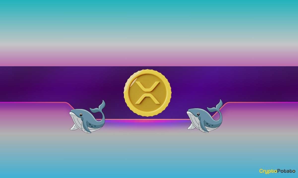 Ripple, Dogecoin Whales Bought the Dip as XRP, DOGE Prices Soar