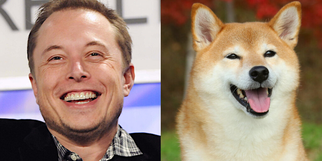 Elon Musk and Dogecoin: How the Billionaire Became the `Dogefather`