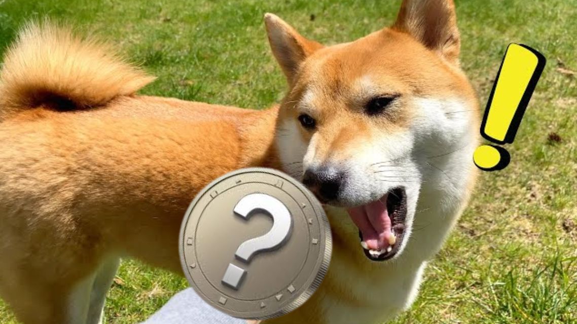 Why Traders Are Ditching DOGE and SHIB for These 5 Memecoins With 16,000% ROI