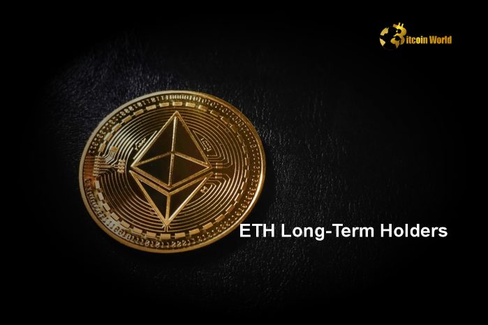 ETH Long-Term Holders Rise in 2024 as BTC Holders Decline