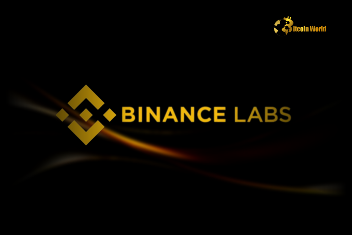 Binance Labs Invests in 46 Projects in 2024: A Sector-Wide Breakdown