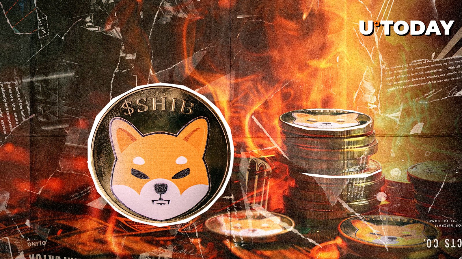 SHIB Burns Plummet 72%, Here`s Immediate Price Response