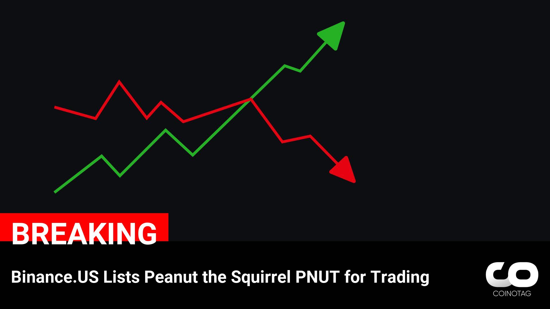 Binance.US Adds Peanut the Squirrel (PNUT) to its Trading Platform